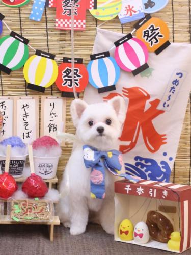 20240720みるくちゃん